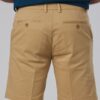 AIW Men's Chino Shorts Back